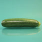 Squash Tigress F1 Seed