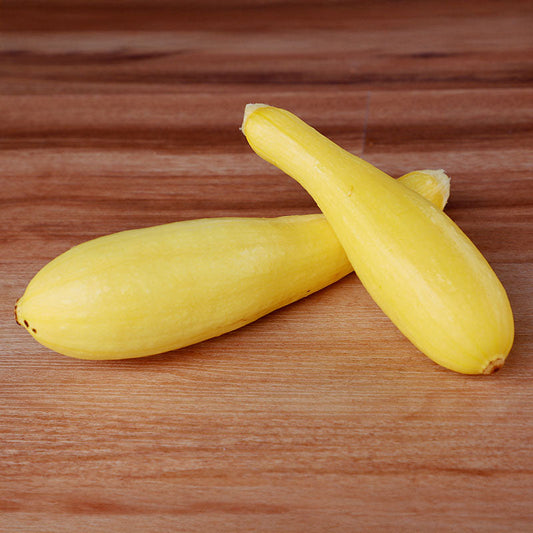 Squash Cougar F1 Seed