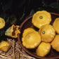 Squash Sunburst F1 Seed