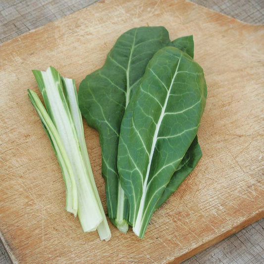 Swiss Chard Large White Ribbed Seed