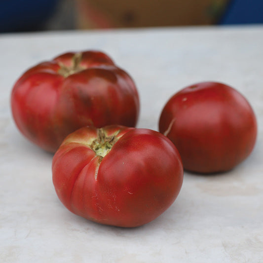 Tomato Cherokee Purple Seed