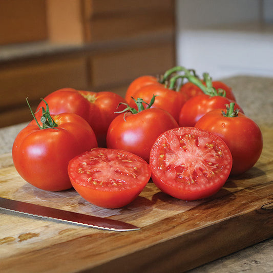 Tomato Better Boy F1 Seed