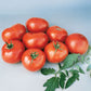 Tomato Better Boy F1 Seed