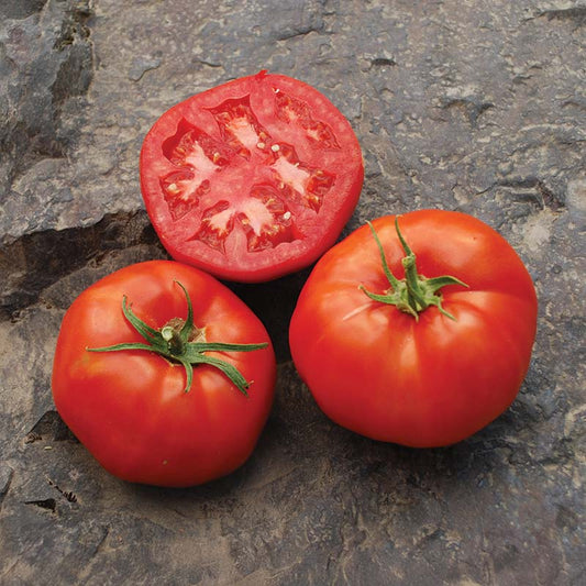 Tomato Rutgers 250 Seed