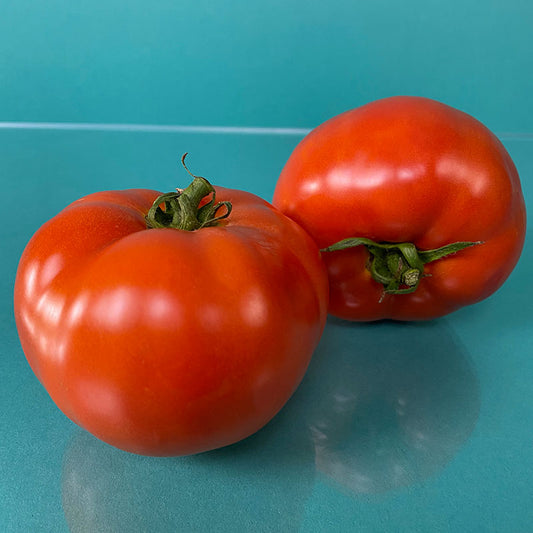 Tomato Bush Early Girl F1 Seed