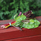 Swiss Chard Northern Lights Mix Seed