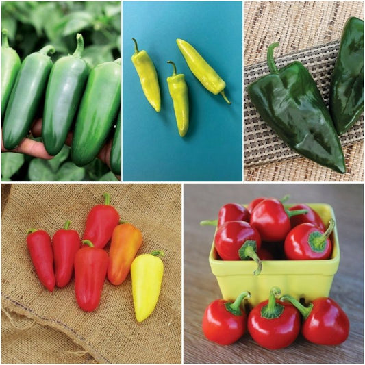 Pepper Seed Collection - Hot Peppers Seed
