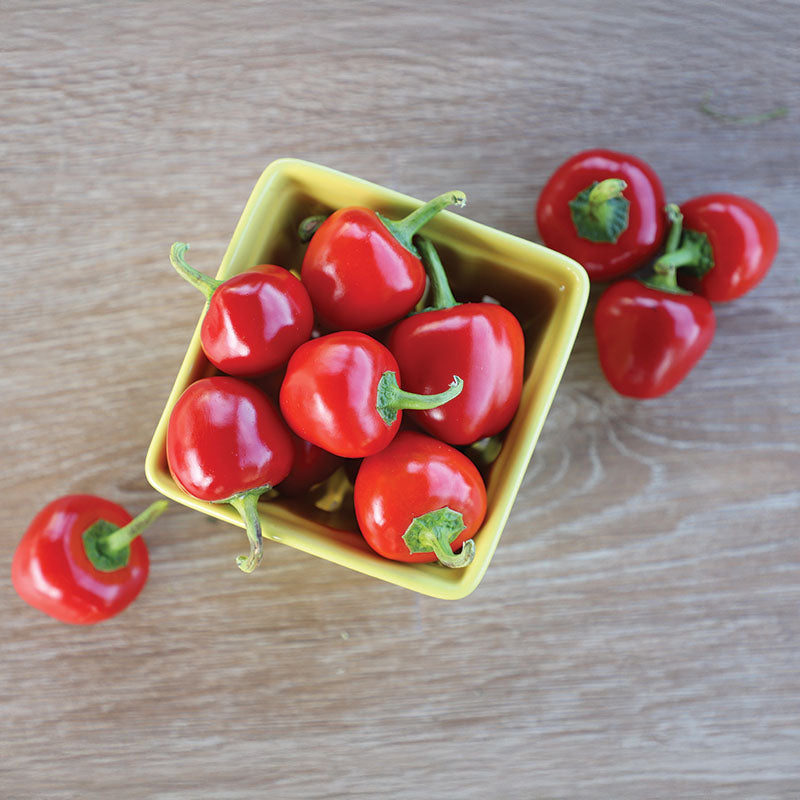 Pepper Seed Collection - Hot Peppers Seed