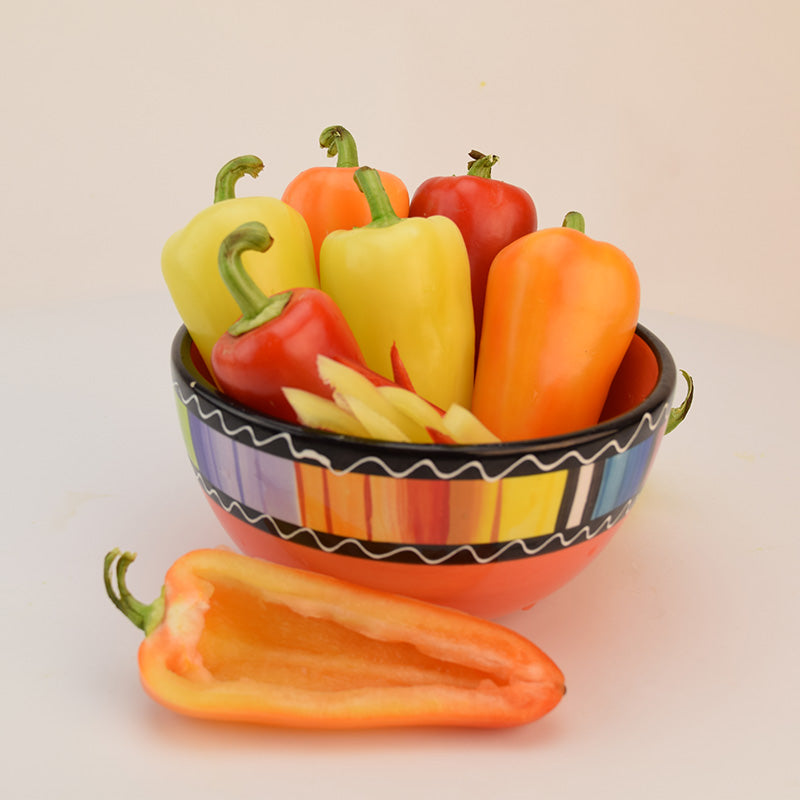 Pepper Seed Collection - Hot Peppers Seed