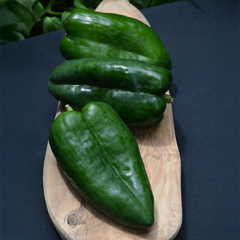 Pepper Seed Collection - Hot Peppers Seed