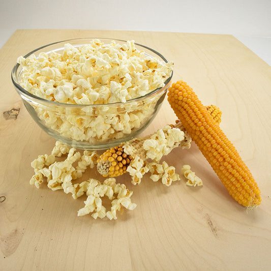 Popcorn Top Pop F1 Seed