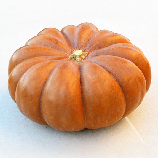 Pumpkin Fairytale Seeds