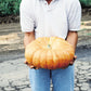 Pumpkin Fairytale Seeds