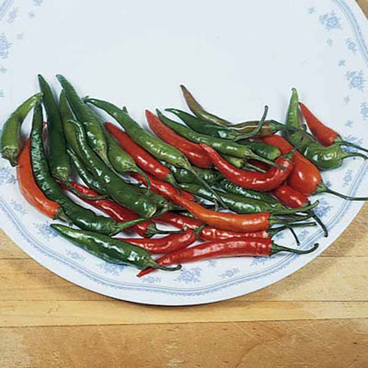 Pepper Thai Hot