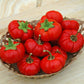 Pepper Pumpkin Pepper Seed