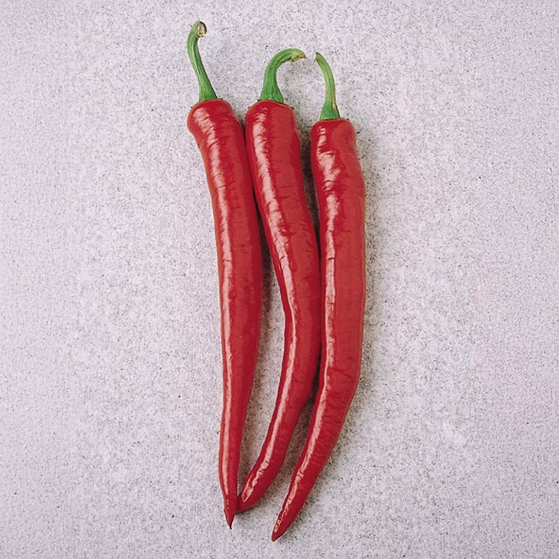 Pepper Cayenne Long Slim Seed