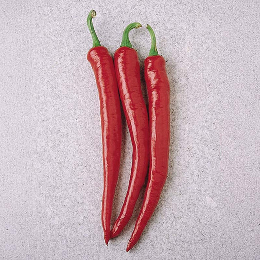 Pepper Cayenne Long Slim Seed