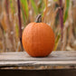 Pumpkin Iron Man F1 Seed