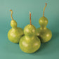 Gourd Big Boy Mix Seed