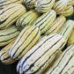 Squash Bush Delicata Seed