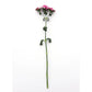 Dianthus Amazon Rose Magic F1 Seed