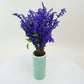 Salvia Victoria Blue Seed