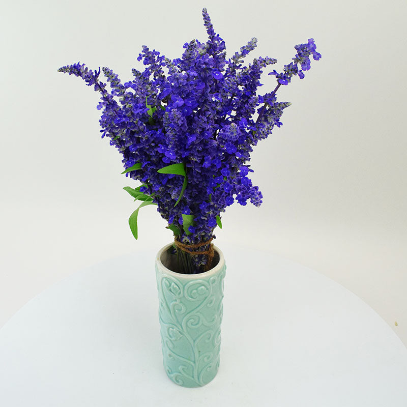Salvia Victoria Blue Seed