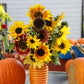 Sunflower Autumn Beauty Mixture Seed