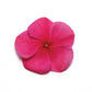 Vinca Pacifica XP Mix Seed