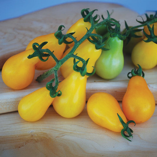 Tomato Yellow Pear Seed