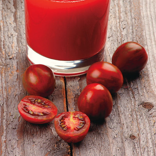 Chocolate Cherry Tomato Seeds