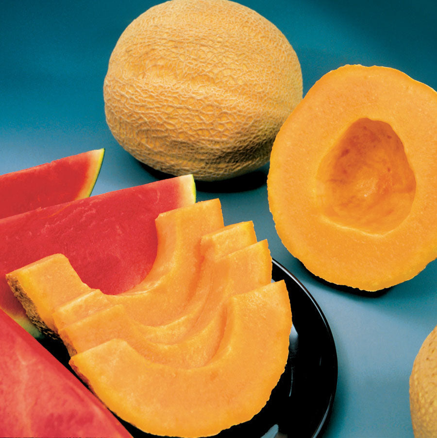 Parks Whopper Hybrid Cantaloupe Seeds