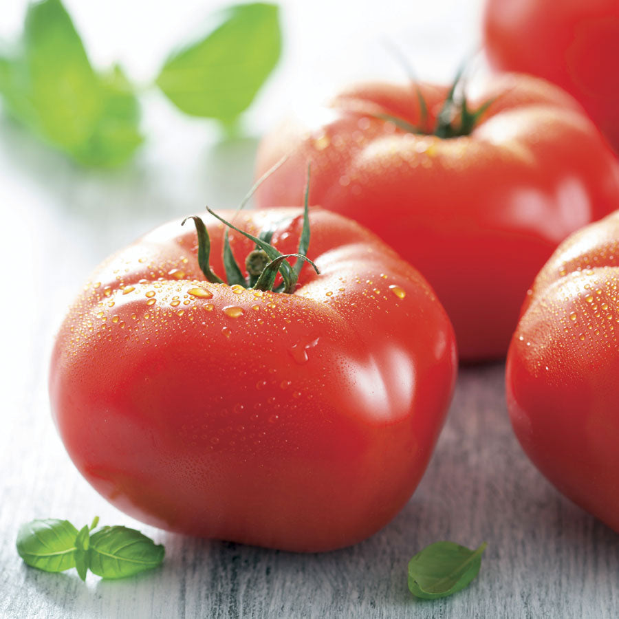 Mater Sandwich Hybrid Organic Tomato Seeds