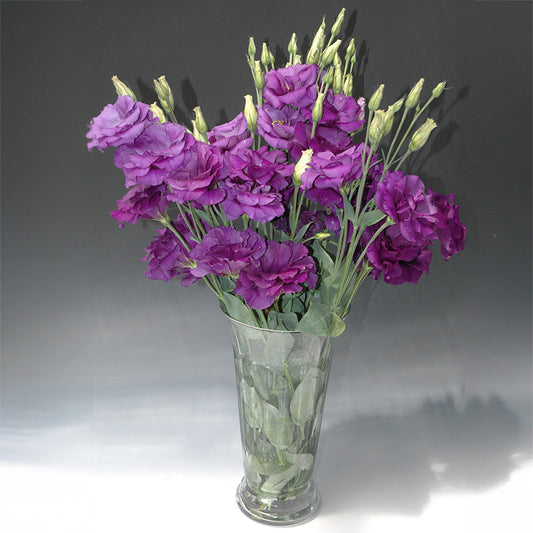 Lisianthus Mariachi Blue F1 Seed