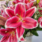 El Capitan Tree Lily