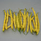 Bean Carson Seed
