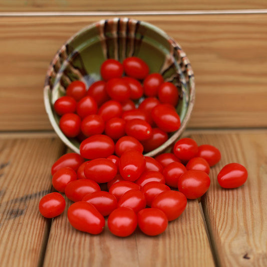 Tomato Smarty F1 Seed