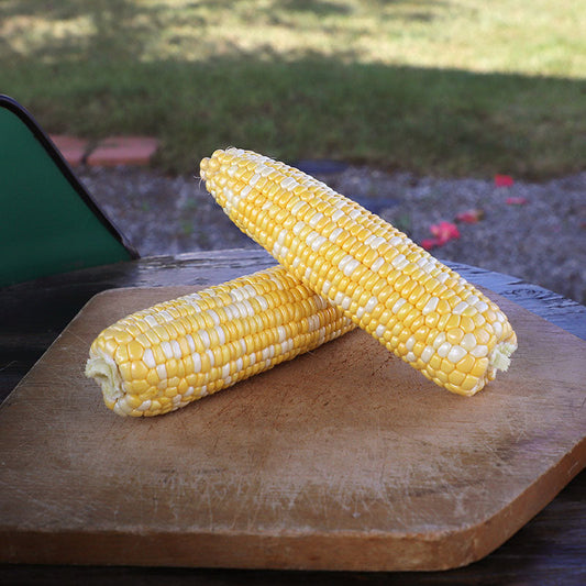 Sweet Corn Honey 'N Pearl F1 Seed