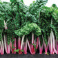 Swiss Chard Peppermint Seed