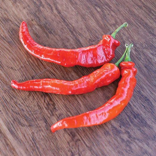 Pepper Mesilla F1 Seed