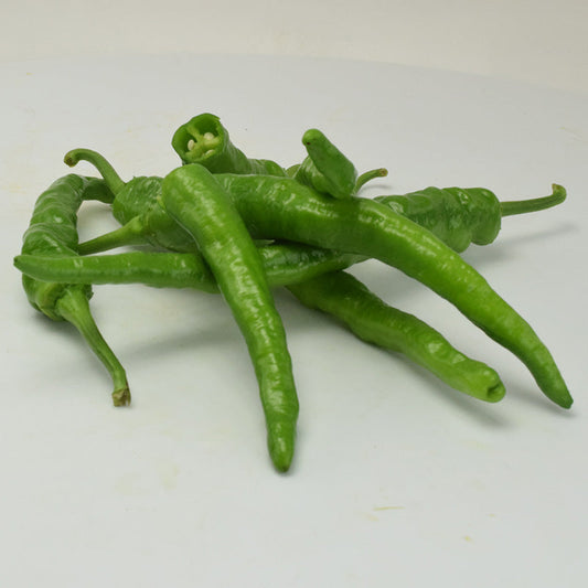 Pepper Mesilla F1 Seed