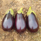 Eggplant Traviata F1 Organic Seed