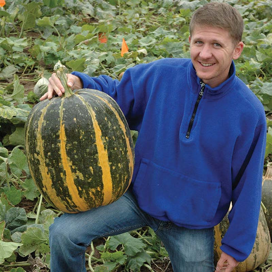 Pumpkin Tours Seed