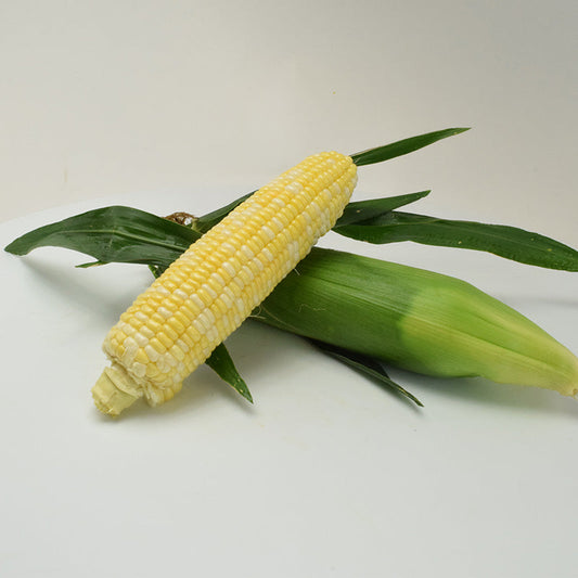 Sweet Corn Cuppa Joe F1 Seed