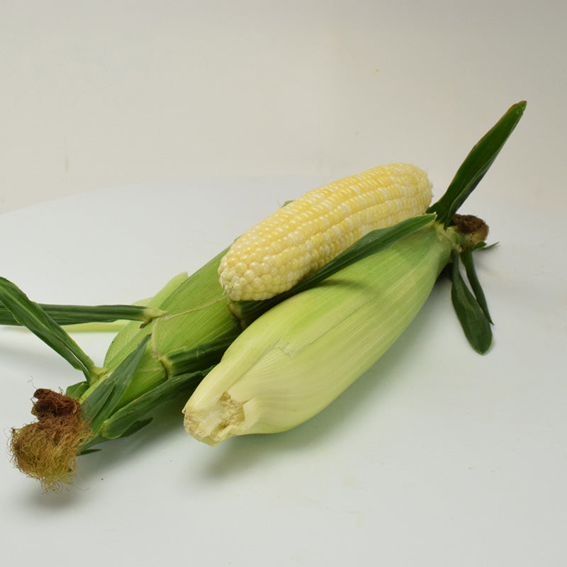 Sweet Corn Essence F1 Seed