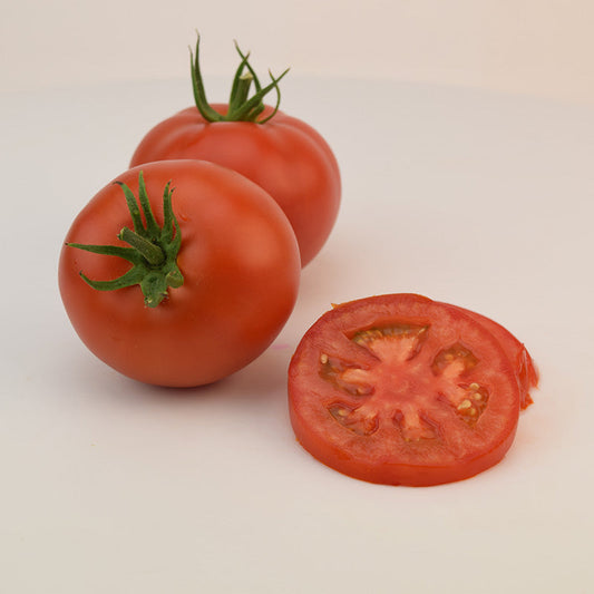 Tomato Caiman F1 Seed