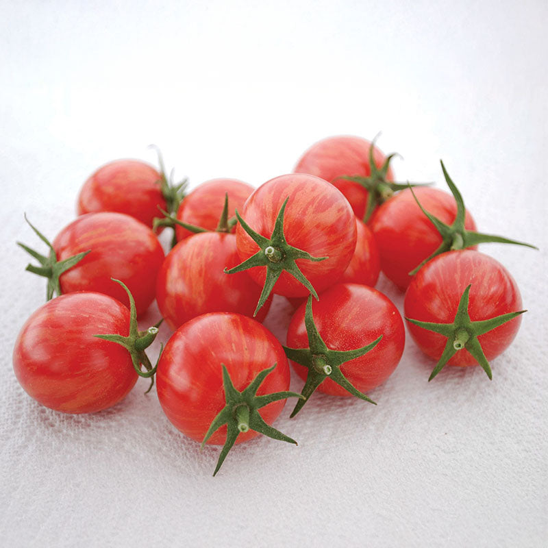 Tomato Artisan&trade; Pink Bumblebee Organic Seed