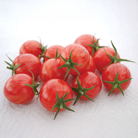 Tomato Artisan&trade; Pink Bumblebee Organic Seed