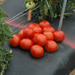 Tomato Red Mountain F1 Seed