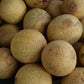 Melon Sugar Cube F1 Seed